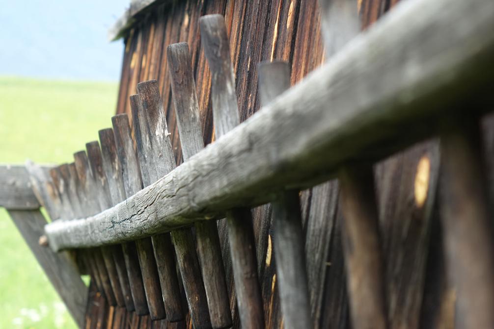 Einführung Fotografie 2022