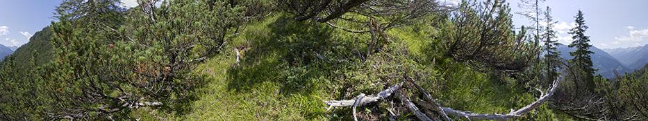 © Josef Sieß Standpunkt 13