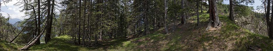 © Markus Jenewein Standpunkt 15