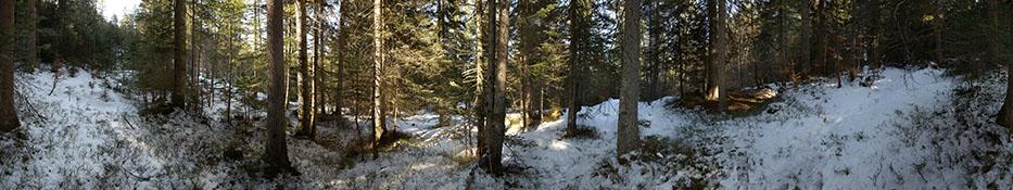 © Markus Jenewein Standpunkt 17