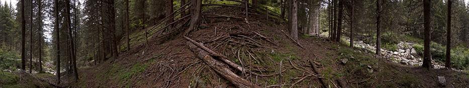 © Heinz Jörgen Hafele Standpunkt 61