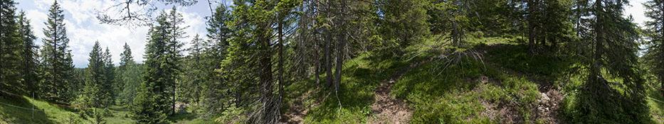 © Claudia Fritz Standpunkt 84