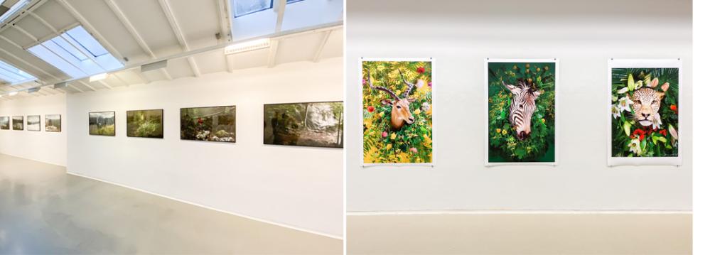 Last Paradise (Fotoforum)