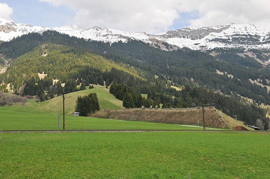 "Lawinendamm in Lähn" von Christine Zotz