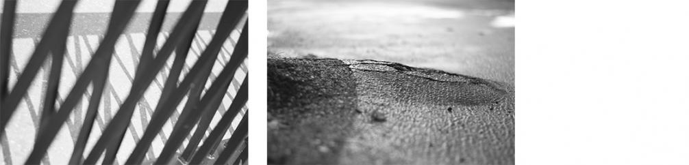 Anna Rieser - ground