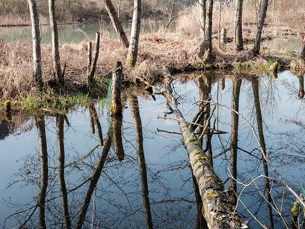 Werner Neururer: Zwischen Langkampfen und Kufstein