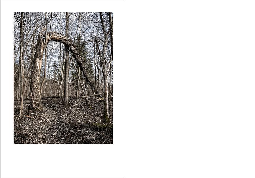 Josef Sieß - Innvalley Retreat Areas