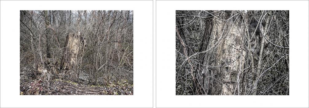 Josef Sieß - Innvalley Retreat Areas