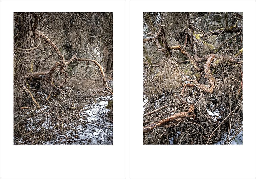 Josef Sieß - Innvalley Retreat Areas