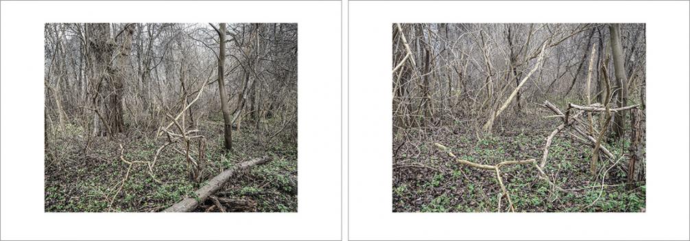 Josef Sieß - Innvalley Retreat Areas