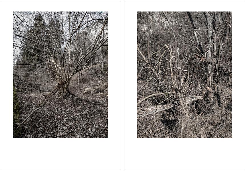 Josef Sieß - Innvalley Retreat Areas