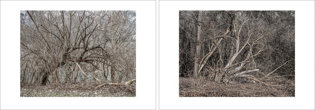 Josef Sieß - Innvalley Retreat Areas