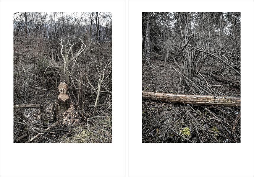 Josef Sieß - Innvalley Retreat Areas