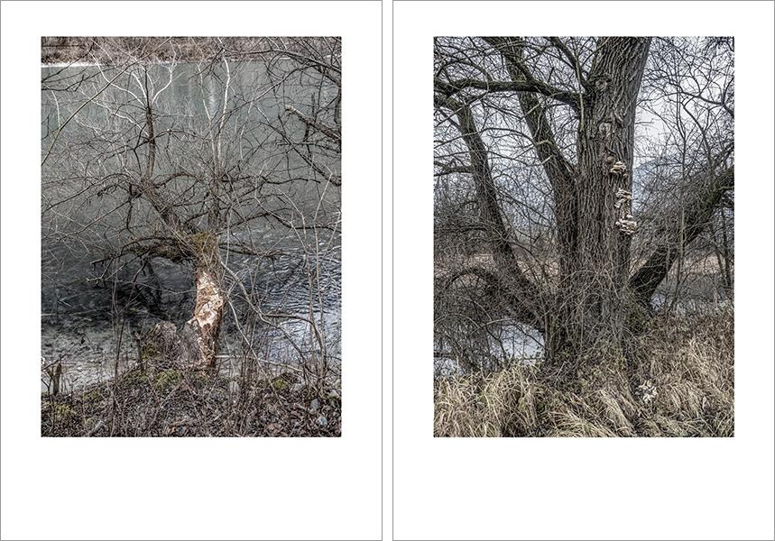 Josef Sieß - Innvalley Retreat Areas