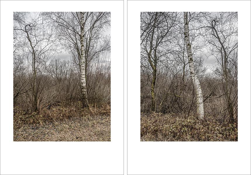 Josef Sieß - Innvalley Retreat Areas