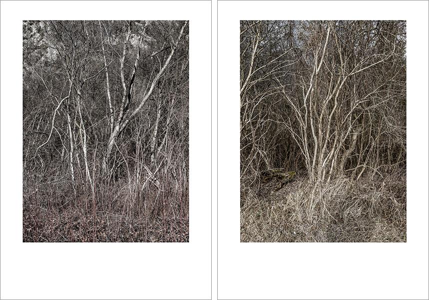 Josef Sieß - Innvalley Retreat Areas