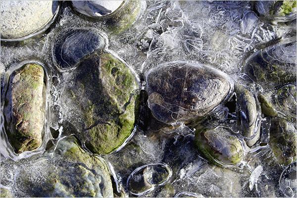 Dagmar Reinstader-Hanek: Steine im Eis