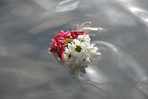 Anna Rieser - Den Toten eine Blume