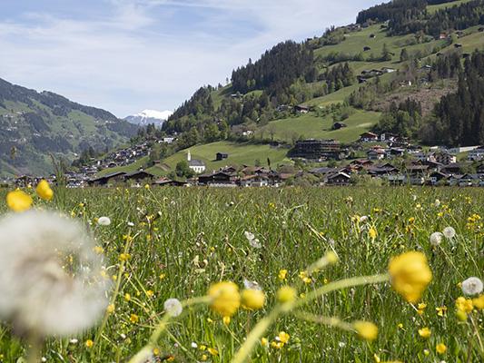 Rosi Gmachl-Mariacher - Ramsau im Zillertal