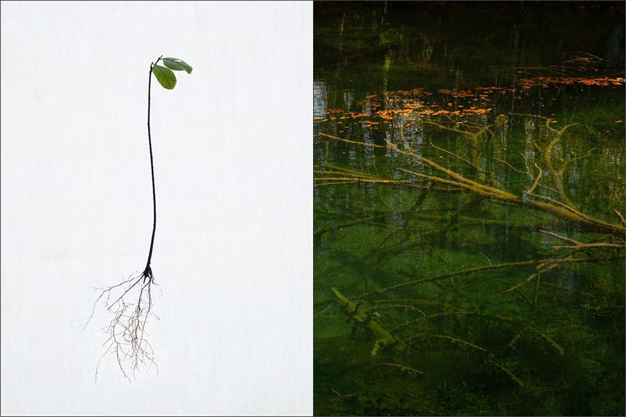 "Anfang und Ende" von Rosi Gmachl-Mariacher