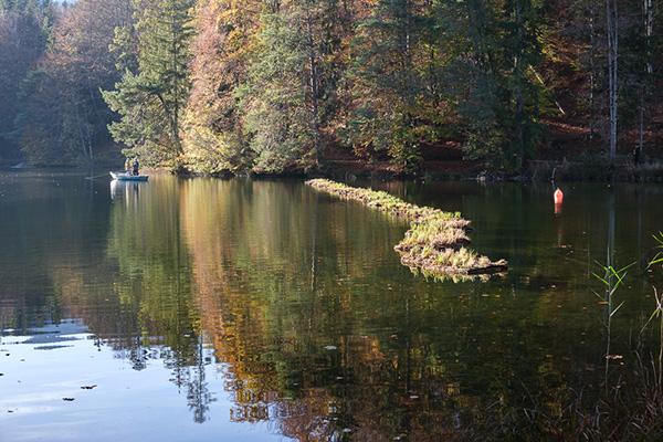 Schwimmende Inseln statt Bojenkette, Hechtsee - Monika Neururer-Puntajer