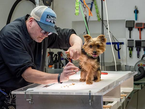 Markus Jenewein: Bellness Oase