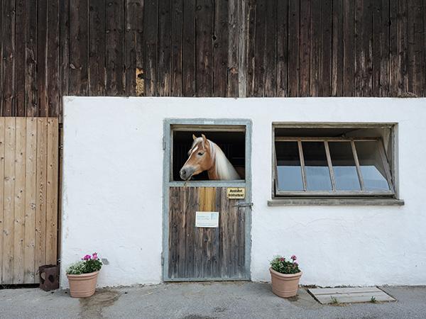 Pferdestall Weberhof