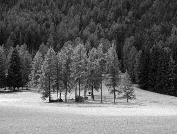 Monika Leitner - Landesfotodokumentation 2002