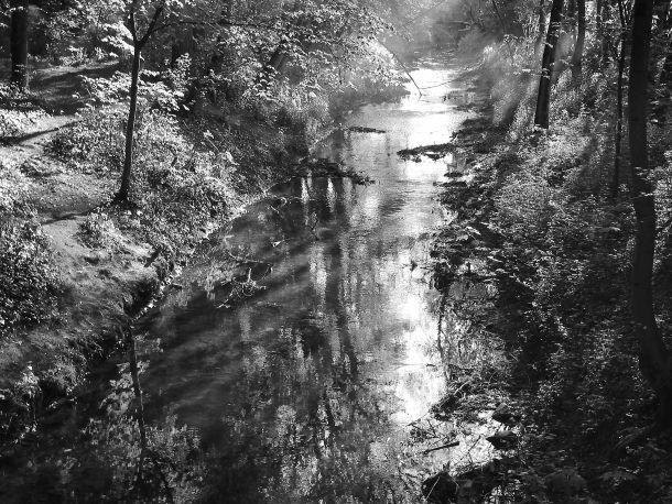 Gerd Jenewein - Landesfotodokumentation 2002