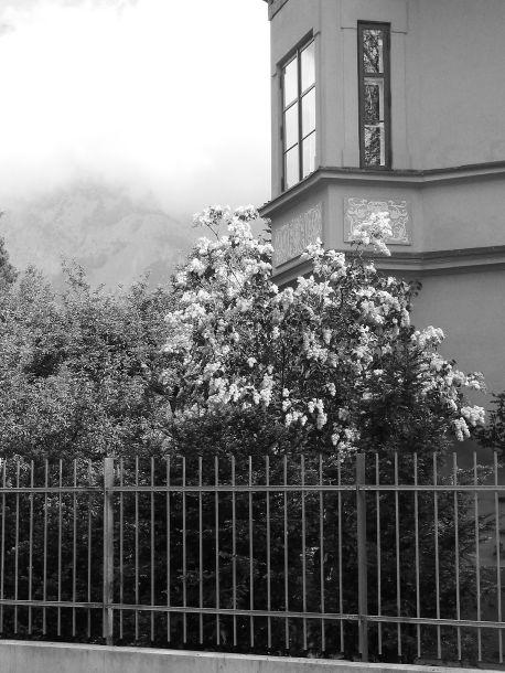 Gerd Jenewein - Landesfotodokumentation 2002