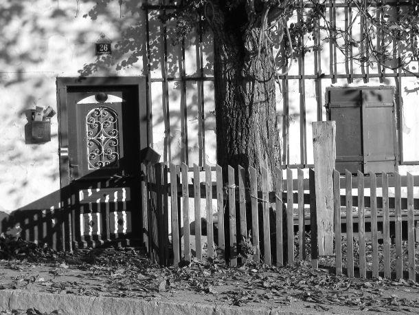 Gerd Jenewein - Landesfotodokumentation 2002