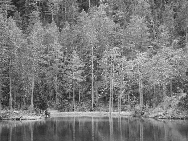 Hansjörg Guem - Landesfotodokumentation 2003