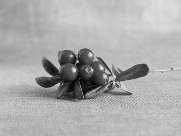 Monika Rinner-Breuß - Landesfotodokumentation 2002