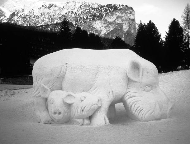 Monika Leitner - Landesfotodokumentation 2002