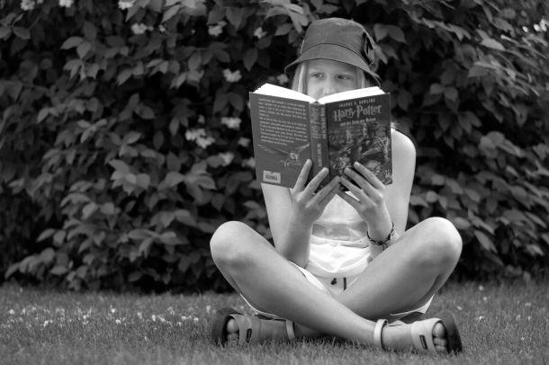 Michael Hodny - Landesfotodokumentation 2002