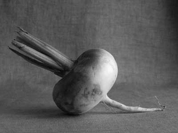 Monika Rinner-Breuß - Landesfotodokumentation 2002