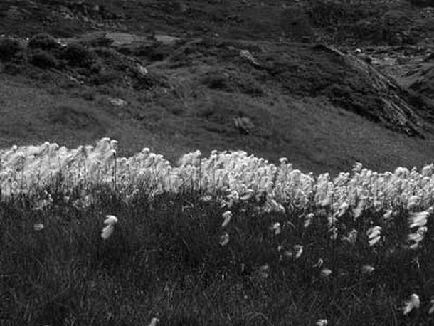 Monika Rinner-Breuß - Landesfotodokumentation 2002