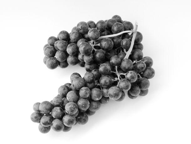 Monika Leitner - Landesfotodokumentation 2002