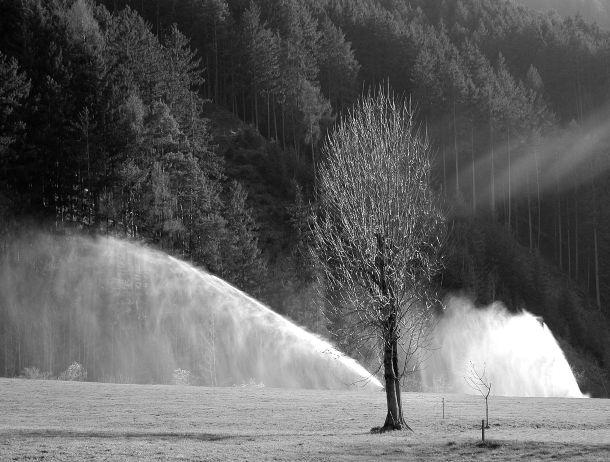 Monika Leitner - Landesfotodokumentation 2002