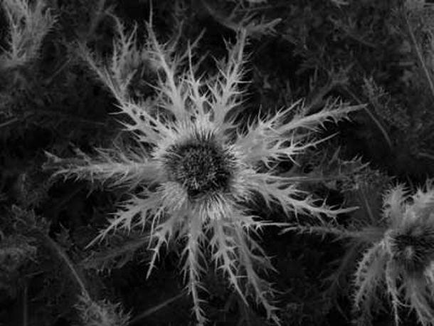 Monika Rinner-Breuß - Landesfotodokumentation 2002