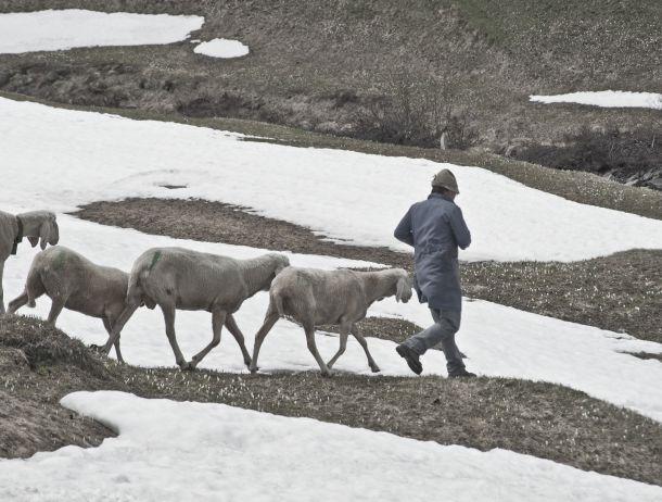 Peter Elvin - Landesfotodokumentation 2010