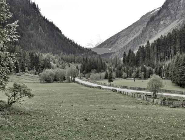 Martin Folie - Landesfotodokumentation 2010