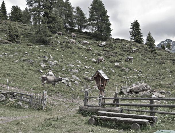 Martin Folie - Landesfotodokumentation 2010