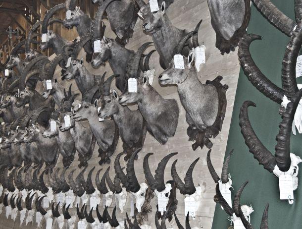 Martin Folie - Landesfotodokumentation 2010