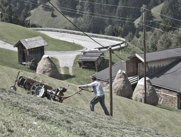 Markus Jenewein - Landesfotodokumentation 2010