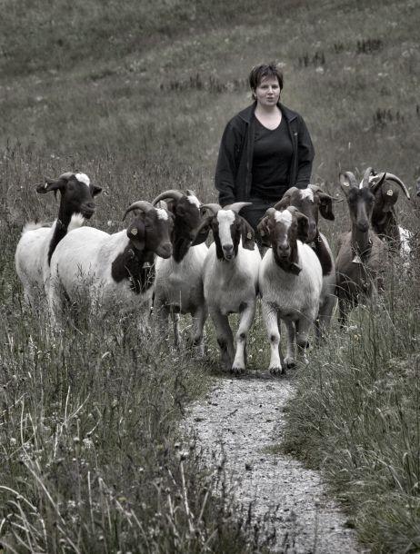 Markus Jenewein - Landesfotodokumentation 2010