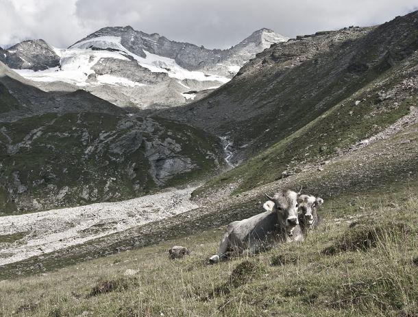Markus Jenewein - Landesfotodokumentation 2010