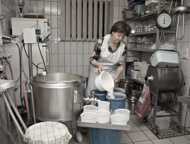 Gerhard Payr - Landesfotodokumentation 2010