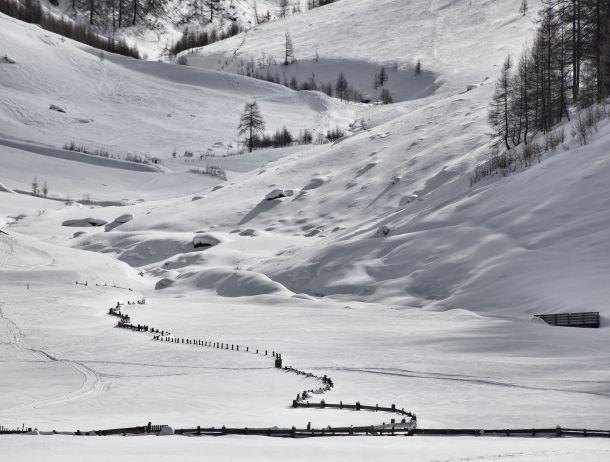 Fridolin Purtscheller - Landesfotodokumentation 2010