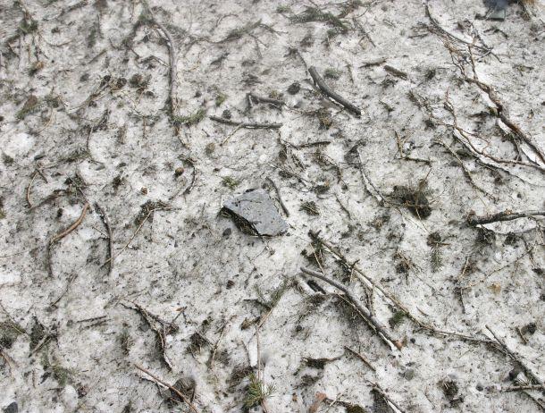 Fridolin Purtscheller - Landesfotodokumentation 2010